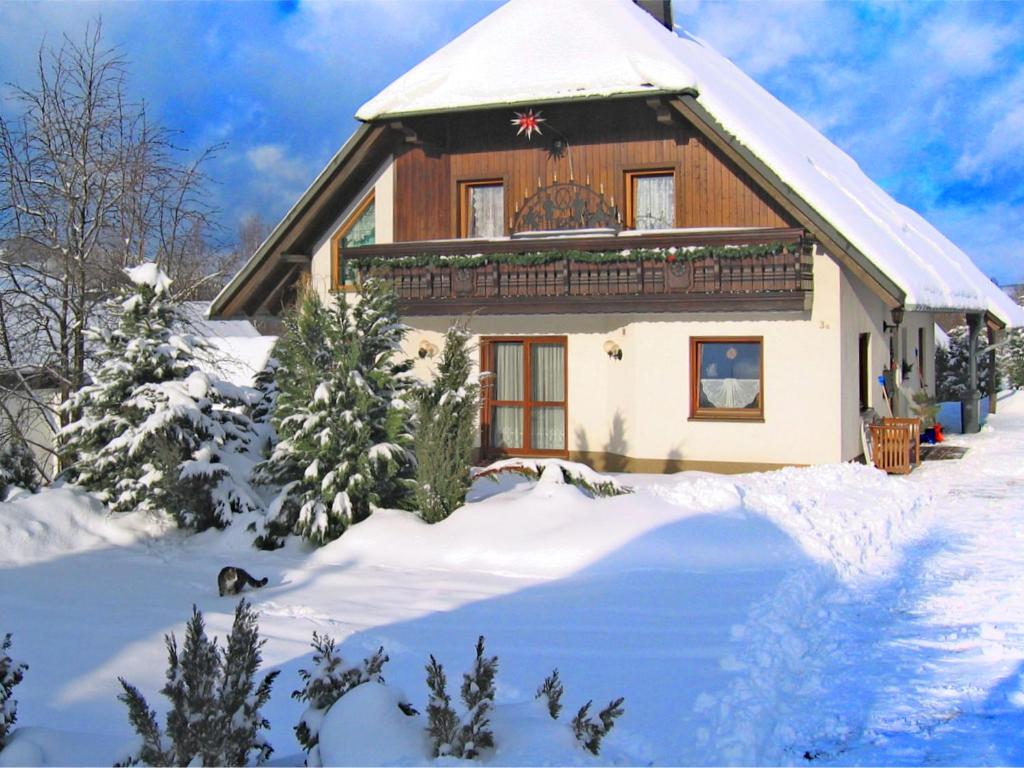 Beautiful Apartment in Pohla Saxony near Ski Area - Breitenbrunn/Erzgebirge