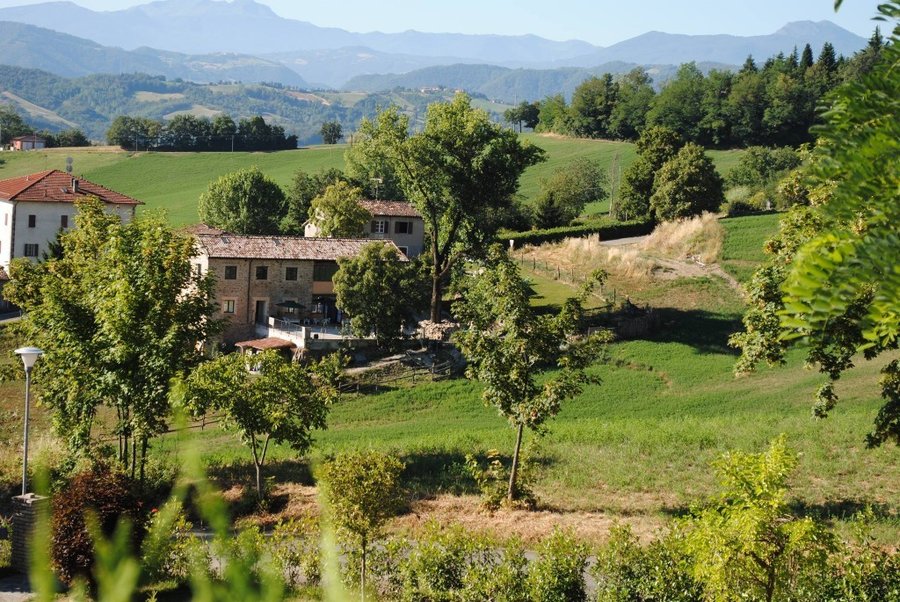 Petrarosa Del Montale - Parma, Italia