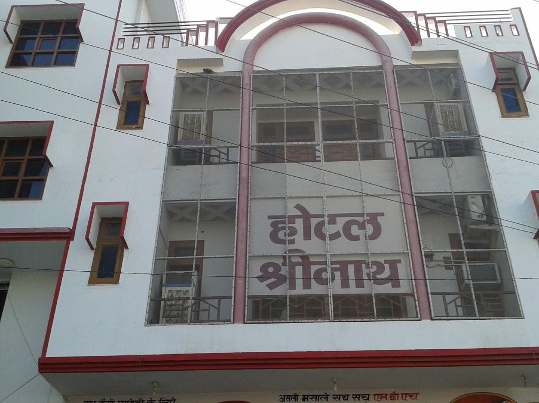 Hotel Srinath - Hanumangarh