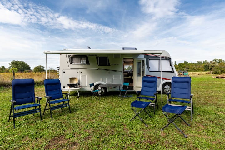 Camping-car Dans La Verdure De La Robertsau - Kehl