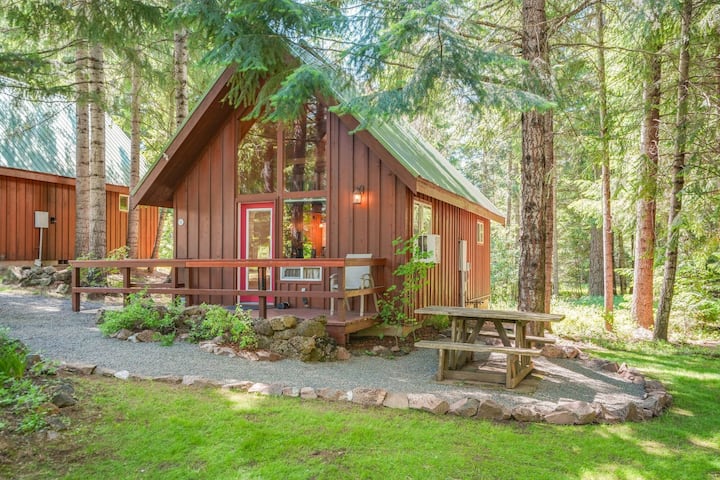 Beautiful Cabin With Partial Views Of Mt. Adams - Trout Lake, WA