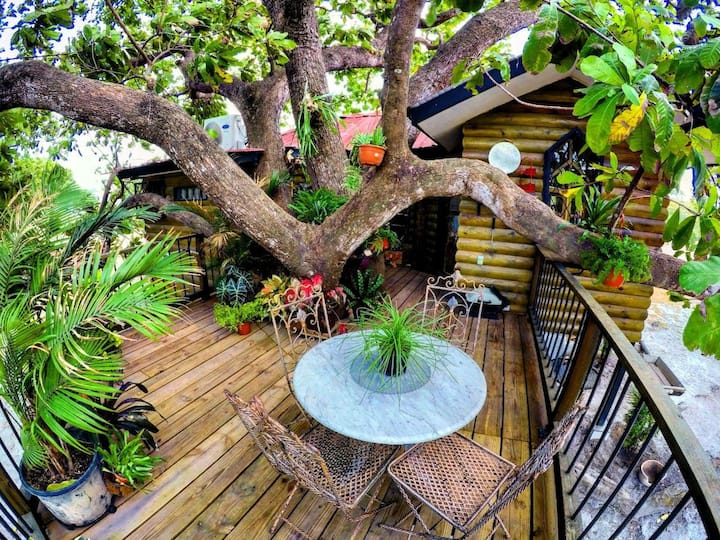 The Tree Cabin #2  Qpr - Panamá