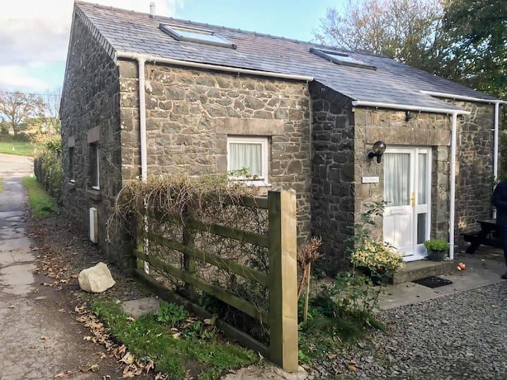 Vacation Home The Pump In St Davids - 6 Persons, 3 Bedrooms - Solva