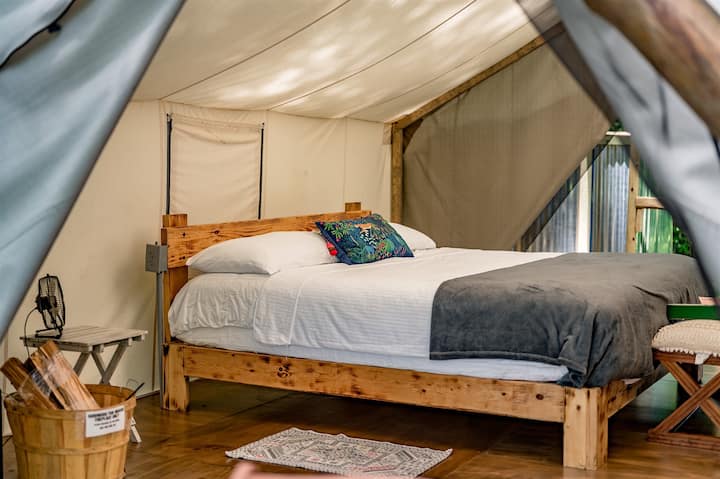Travel&leisure Mag Top Glamping, Romantic, Cozy, H - Parc national des Great Smoky Mountains