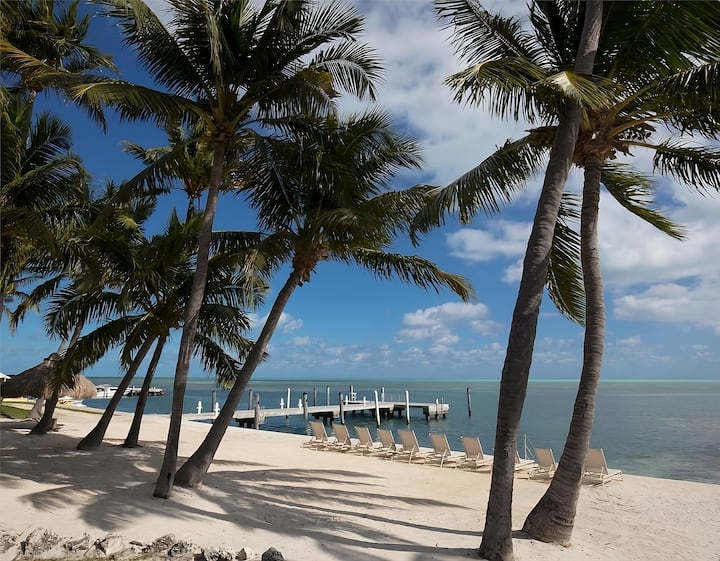 Palm Paradise! 3 Relaxing Units, Outdoor Pool! - Islamorada, FL