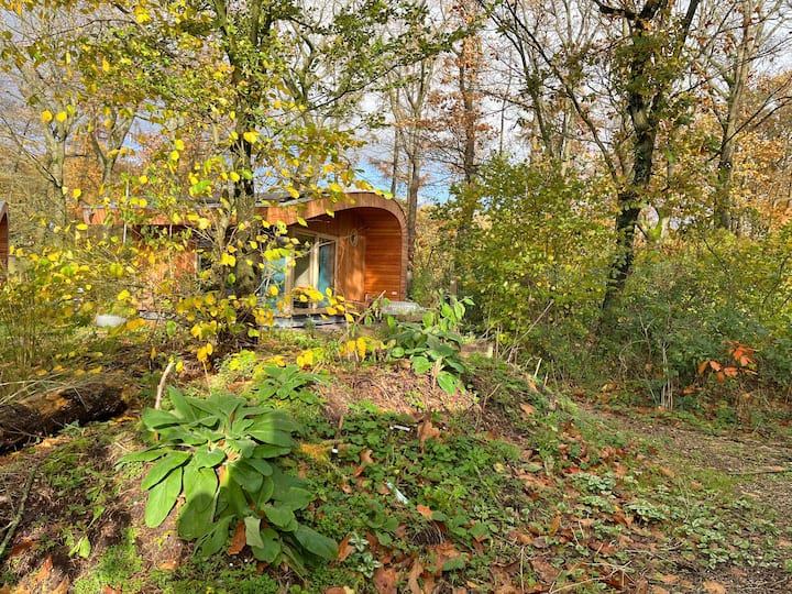 Modern Tiny House Located In The Woods. - Ede