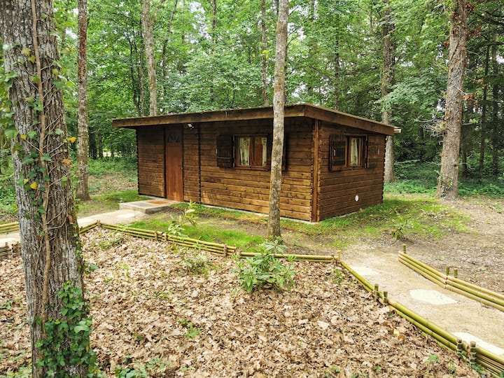 Cabane Dans Les Bois - Loir-et-Cher