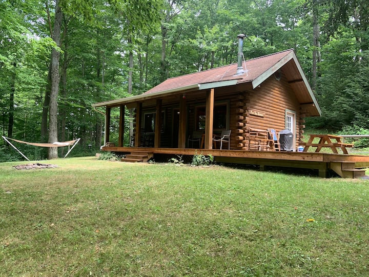 Pine Hill Retreat: Charming Cabin, 30 Wooded Acres - Naples, NY