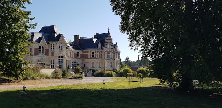 Magnifique Château Avec Terrasse - 桑利
