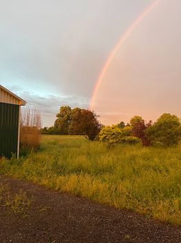 Hamilton Holiday Parks and RV rentals cozycozy