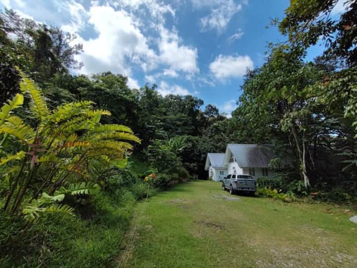 Berembun Rainforest Lodge - Seremban