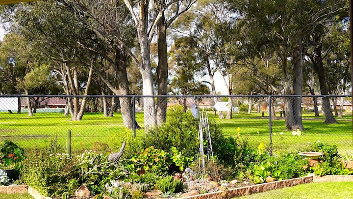 Location!  Location! Walk To Shops, Park And Golf! - Dubbo