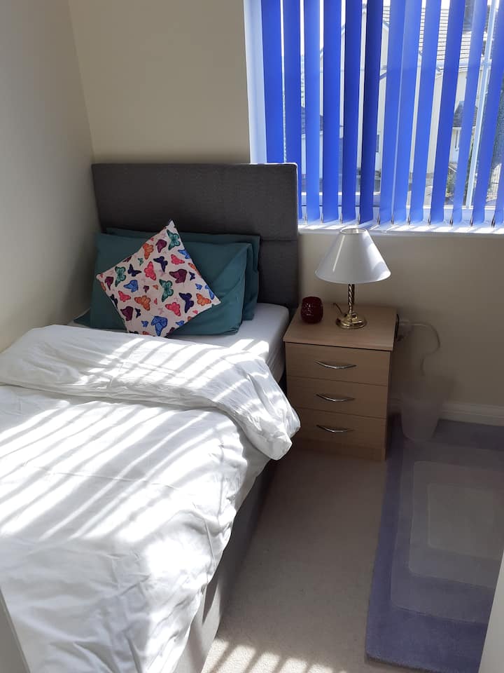 Light Bright Single Room, With Workspace - Carmarthen
