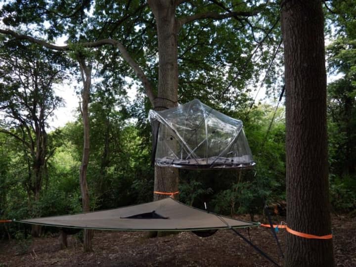 Tiny Bubble Tree Tent - Kent