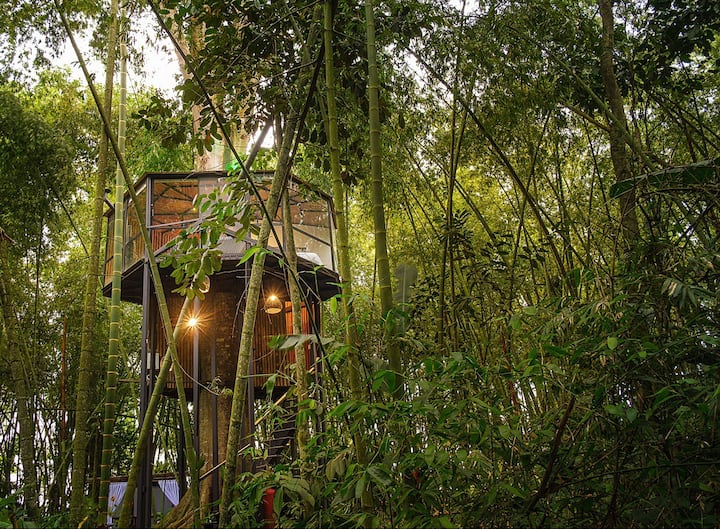 Mágica Casa Del áRbol En Medio De Bosque De Guadua - Quimbaya