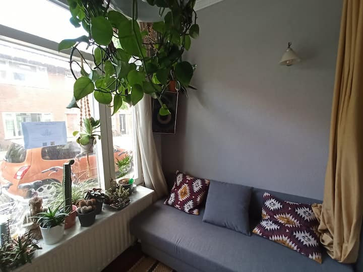 Light, Plant-filled Room In Cosy Neighbourhood - Utrecht, Países Bajos