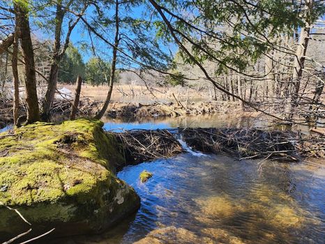 Hancock, NY Vacation rentals & Airbnb cozycozy