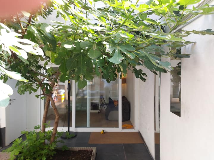 Petite Maison "Flora" Avec Jardin De Ville - Anvers