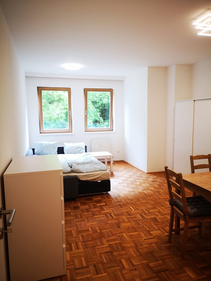 Renovierte, Hofseitige Wohnung In Zentrumsnähe - Leonding