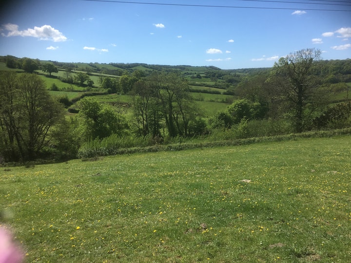 Wild Camping In Glorious Countryside. - Honiton