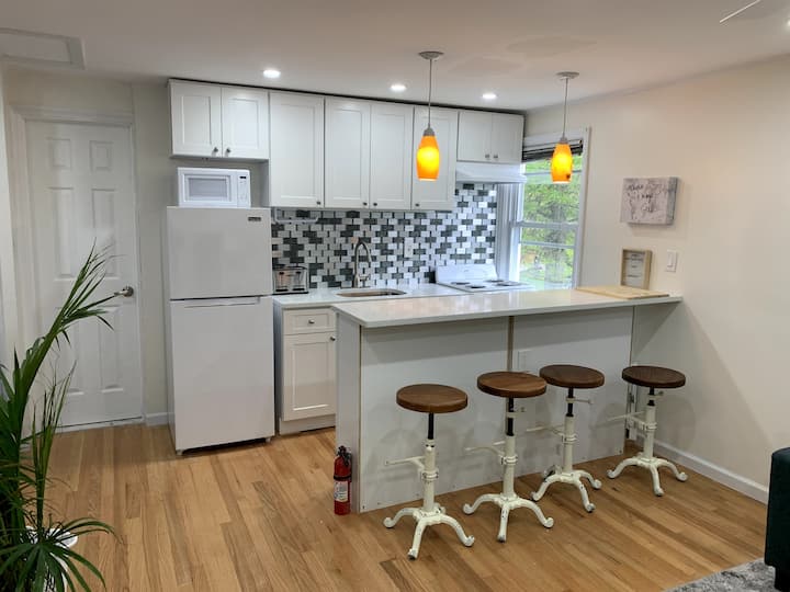 Modern 1 Bedroom Apartment - Roslyn, NY