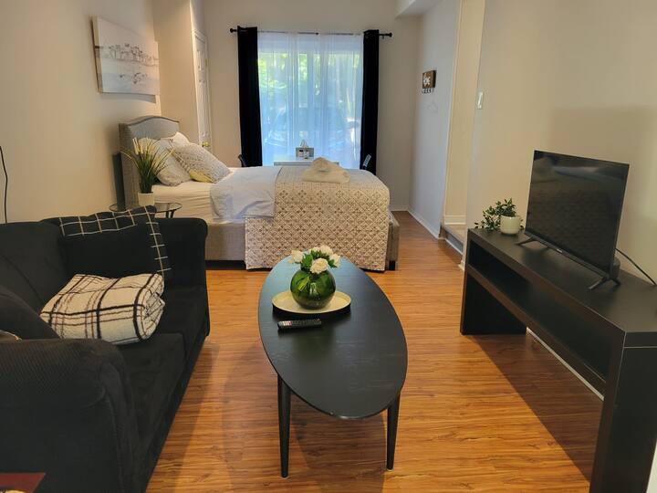Bachelor Suite Apartment - Newmarket