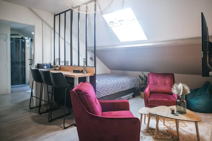 Superbe Appartement Cocooning - ibis Limoges Centre