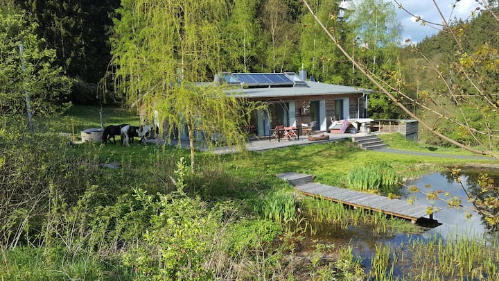 Haus Am Teich - Ilmenau