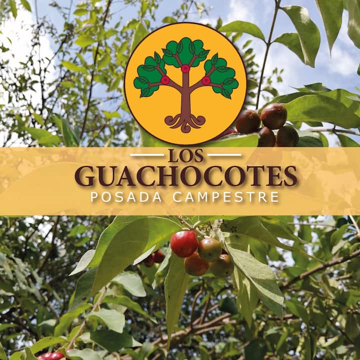 Los Guachocotes, Posada Campestre - Malinalco