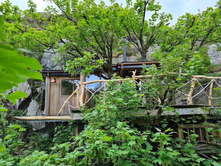 Balance Treehouse -
Luxury High In The Tree Tops - Northern Ireland