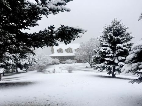 Tully Lake, Tully airbnb, hotels and vacation rentals