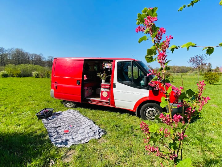 Campervan/ Hippie Bus - Bergheim, Germany