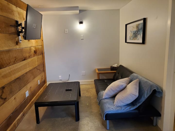 Cute, Cozy Stylish 1-bedroom Basement Apartment. - Gran Sudbury