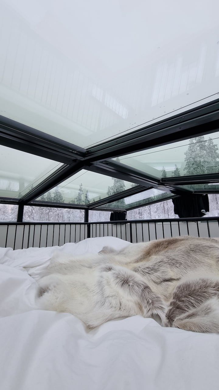 New Glass Roof Winter Cabin In Levi - Kittilä