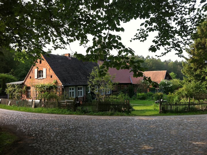 Auszeit Im "Alten Kloster-forsthaus Hohe Heide" - Germany