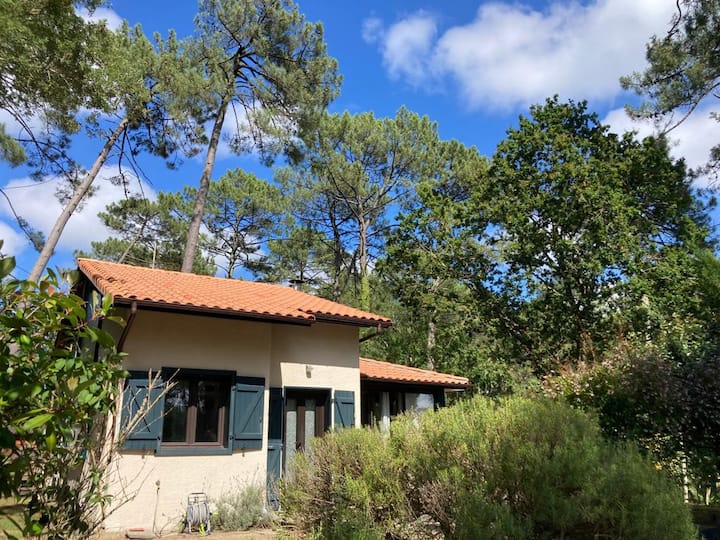 Peaceful Cottage In The Forest Close To The Beach - Landas