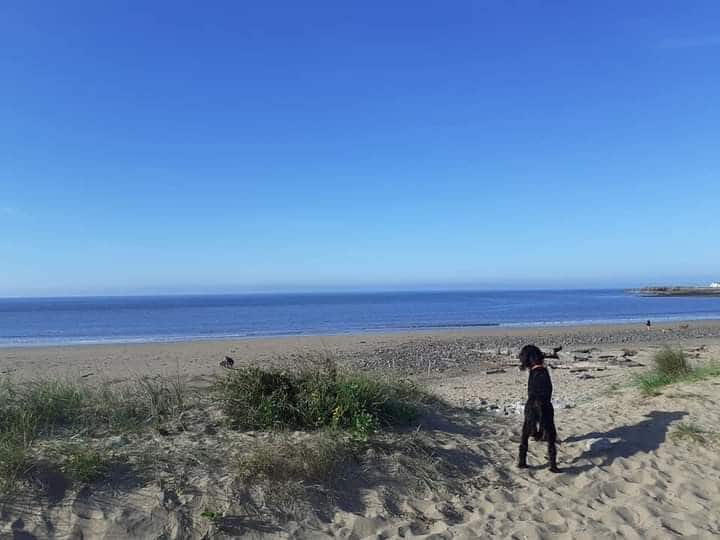 Dog Friendly Holiday Home On A Lovely Beach - Porthcawl