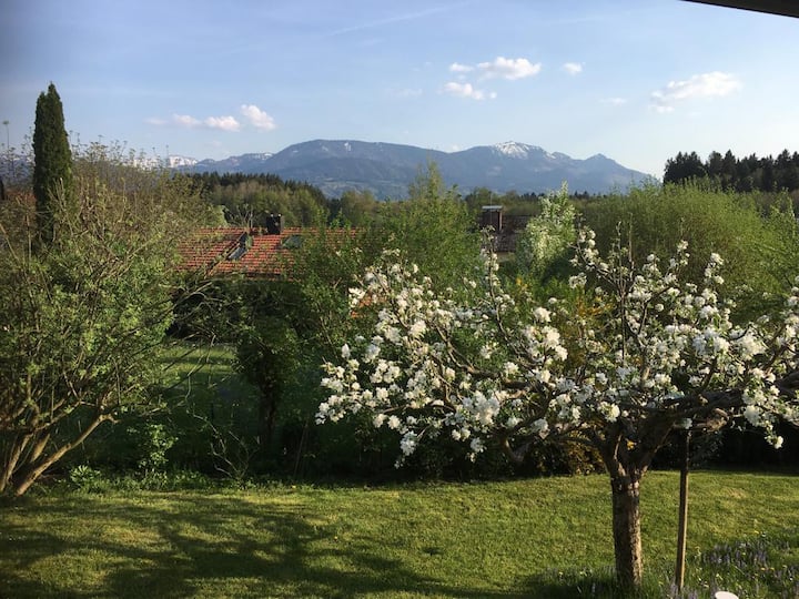 Sonniges Großzügiges Haus Mit Garten Alpenpanorama - Riedering