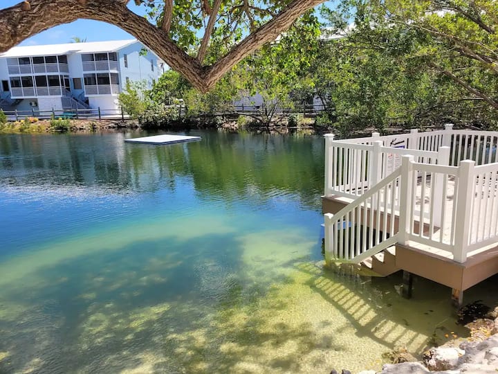 Lagoon View Haven, Pool & Lagoon Includes 2 Kayaks - Florida Keys