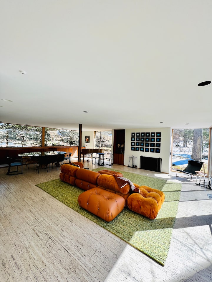 Luxury Mid Century Modern Home In Bloomfield Hills - Bloomfield Hills, MI