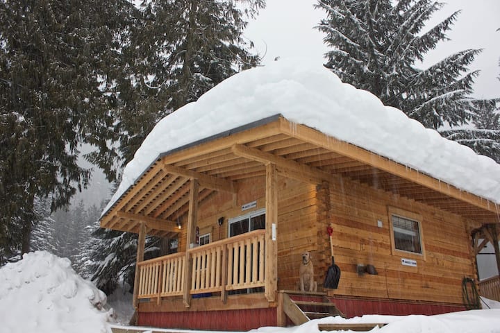 Grizzly Cabin W/kitchenette And Shared Hot Tub ! - Revelstoke