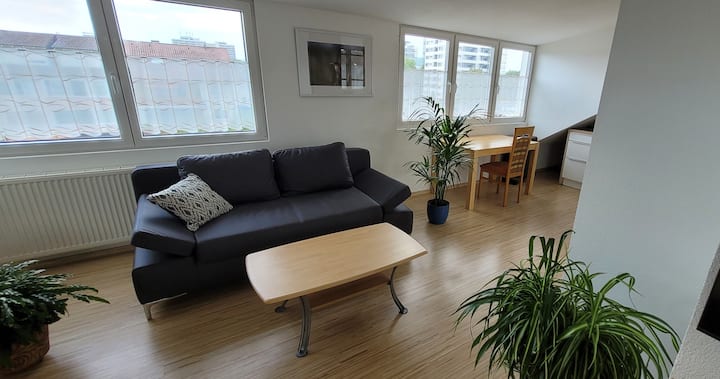 Traumhafte Dach-studio Wohnung/ Business-apartment - Singen (Hohentwiel)