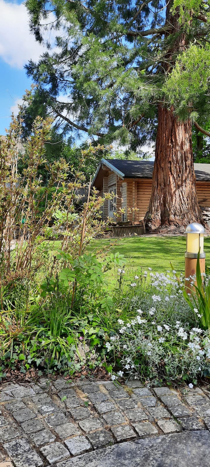 Redwood Lodge: A Hidden Retreat - Wokingham