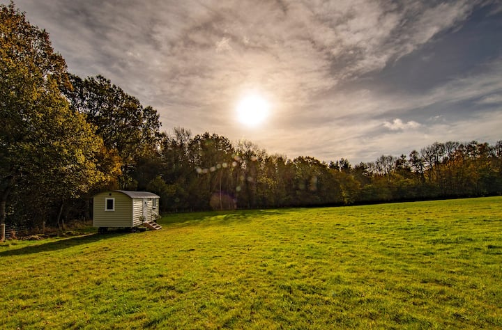 Private  1 Bedroom Shepherds Hut With Rural Views - Battle