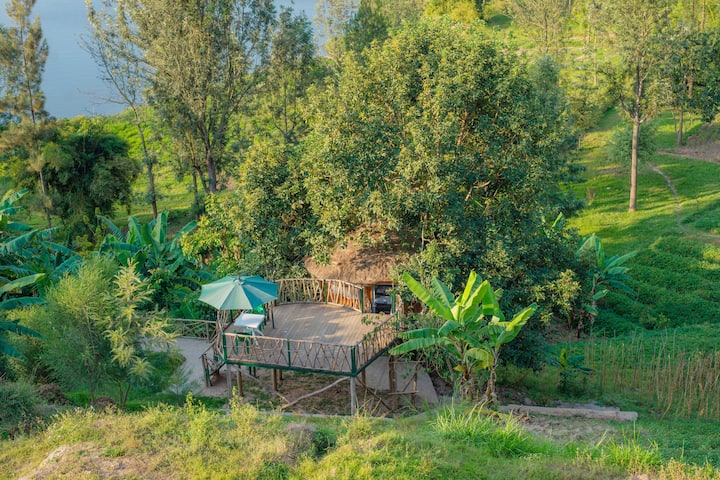 Unique House In An Avocado Tree - Rwanda