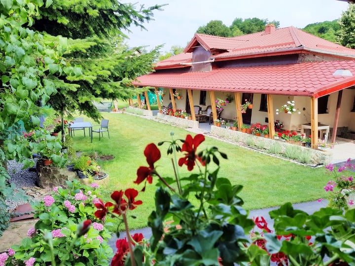 Private House With Garden - Județul Dâmbovița
