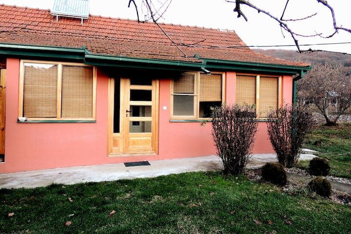 Adorable 1bedroom Guesthouse With Beautiful Garden - Vranje