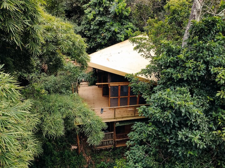 Treehouse In The Jungle (3- Higuerón) - Minca
