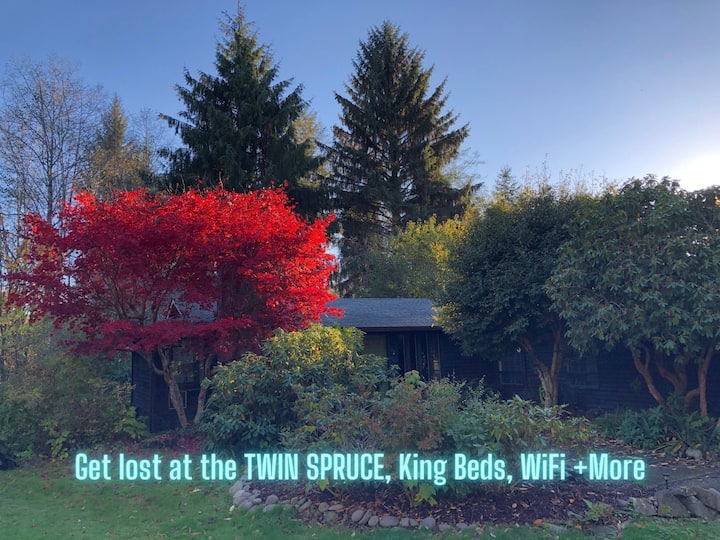 Get Lost At The Twin Spruce, King Beds, Wifi +More - Forks