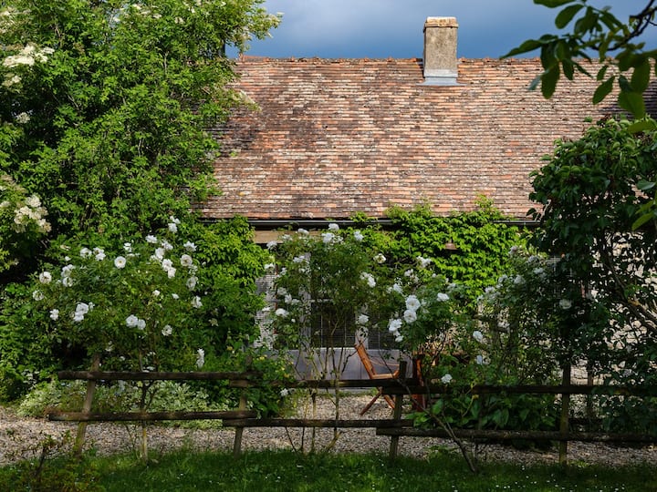 Petit Cottage Dans Les Vignes Avec Piscine - Nolay
